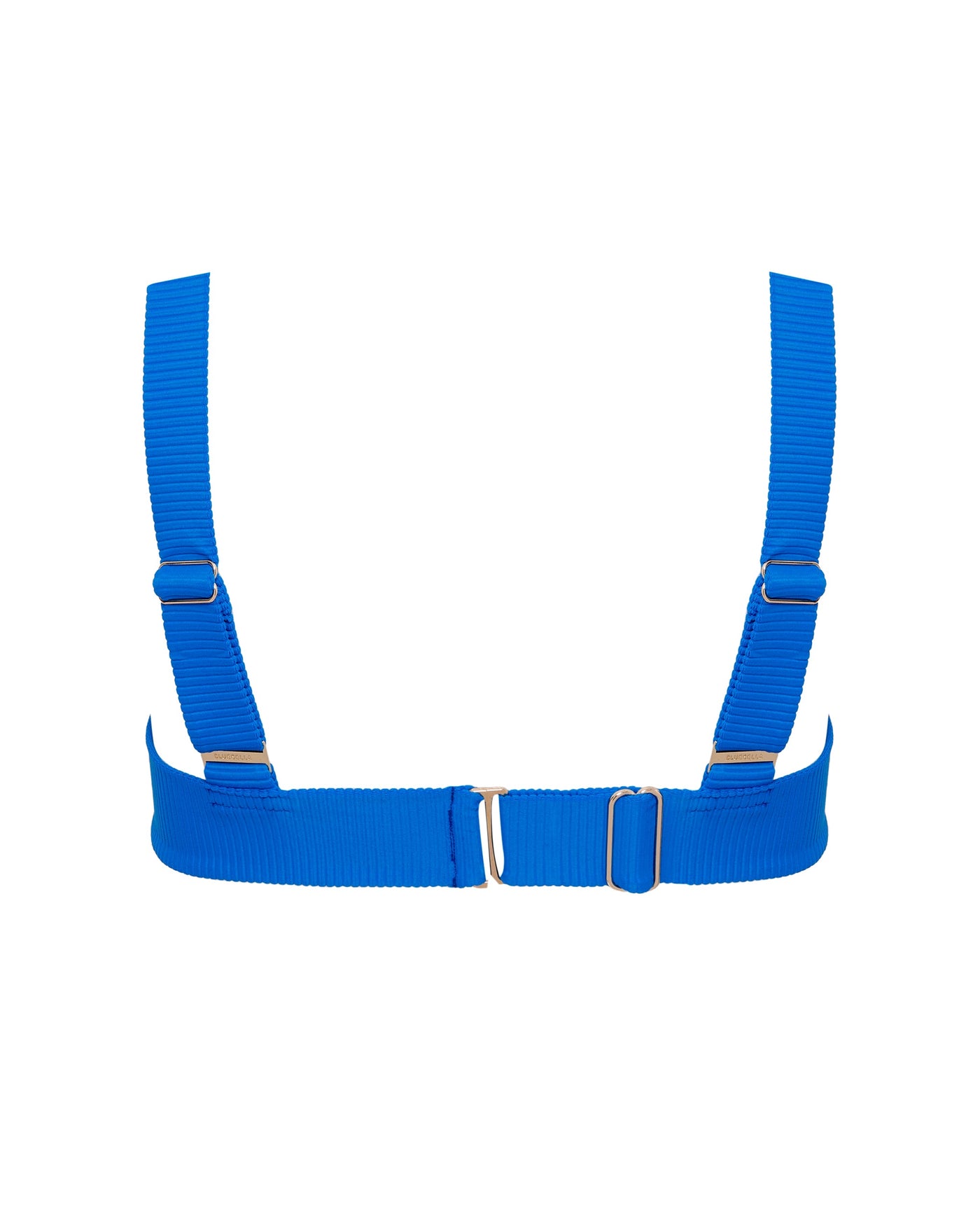 Lucerne Plunge Bikini Top Blue