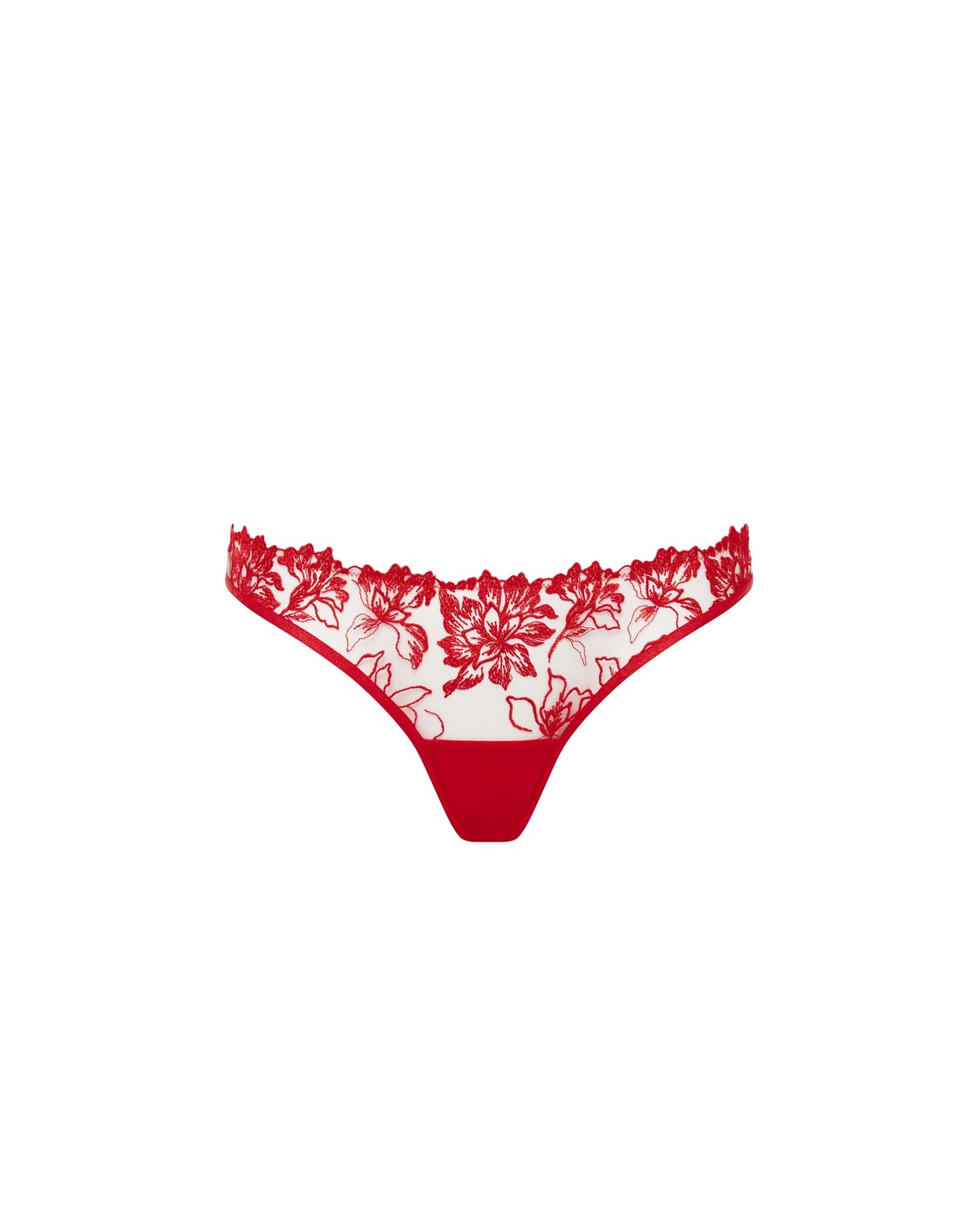 Samara Brief Red/Sheer