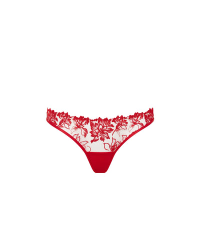 Samara Brief Red/Sheer