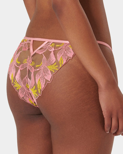 Patrice Sheer Brief Pink/Yellow