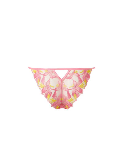 Patrice Sheer Brief Pink/Yellow
