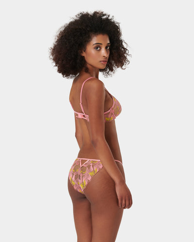 Patrice Sheer Brief Pink/Yellow