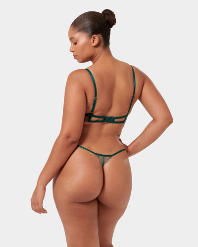 Set: Aster Botanical Garden Green/Sheer