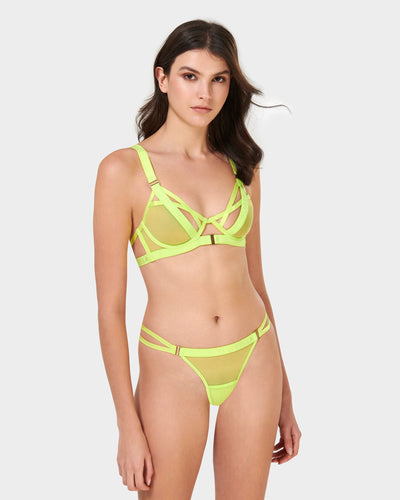 Set: Oslo Tender Shoots