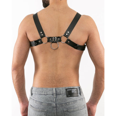 Harry's Studs Harness
